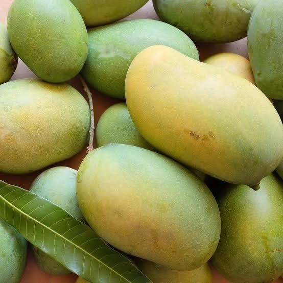 আম্রপালি ( প্রি ওর্ডার) 