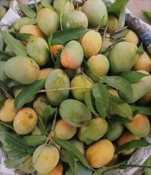 গোপালভোগ